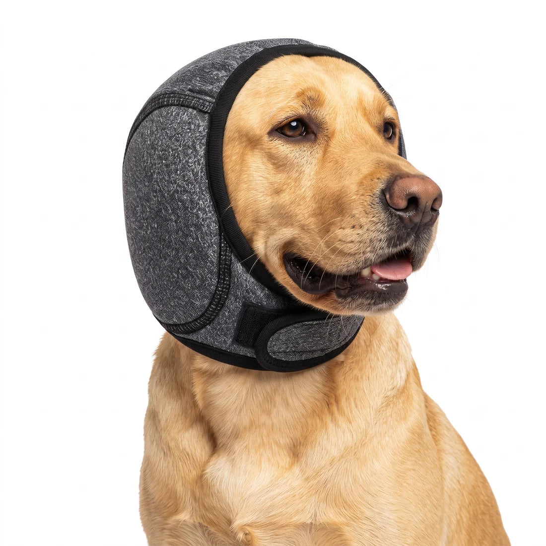 Orejeras Antirruido NovaCalm™ para Perros